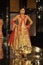 Model walk the ramp for Shane Falguni Show at Amby Valley India Bridal Week day 4 on 26th Sept 2011 (47).JPG